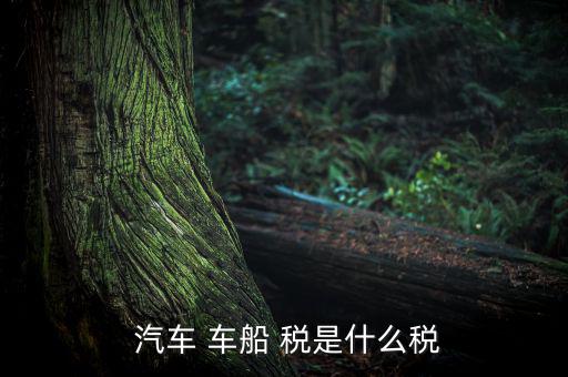 汽車車船稅是怎么樣,車船稅是對(duì)車輛、船舶征收的稅