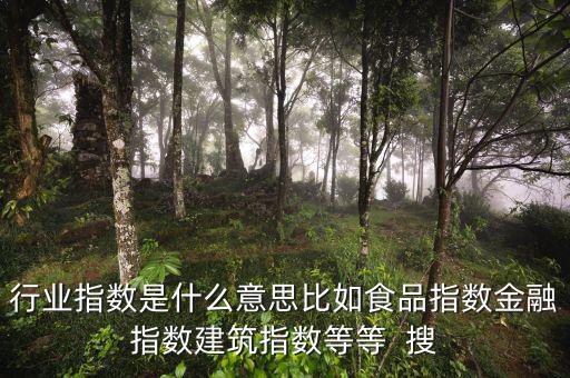 申萬行業(yè)指數(shù)是什么，申萬證券行業(yè)指數(shù)分級是什么指數(shù)基金嗎