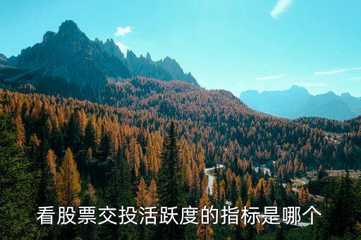 股性活躍看什么指標(biāo)，股票的活躍度在股票里看那個指標(biāo)呀