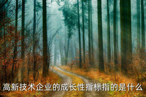 公司成長性指標用什么，請問反映企業(yè)價值和企業(yè)成長性的指標有哪些