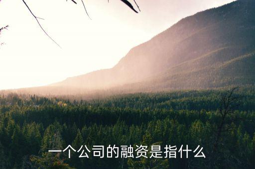 什么叫融資，一個公司的融資是指什么