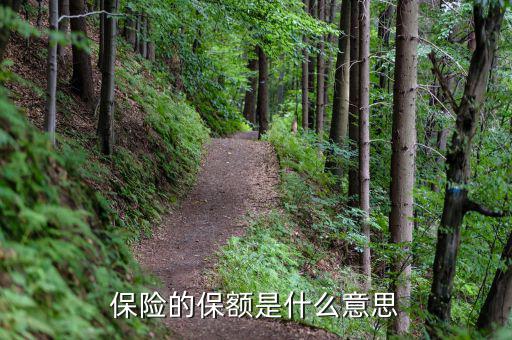 保險保額是什么意思，保險里的保額是啥意思