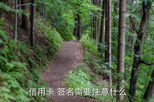 信用卡怎么簽名,中國(guó)銀行網(wǎng)上銀行點(diǎn)擊信用卡開(kāi)卡
