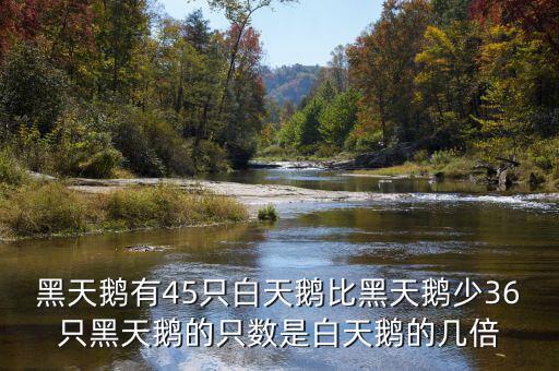 什么是黑天鵝，黑天鵝有45只白天鵝比黑天鵝少36只黑天鵝的只數(shù)是白天鵝的幾倍