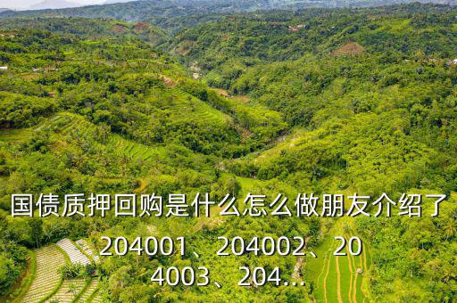 國債質(zhì)押回購是什么怎么做朋友介紹了 204001、204002、204003、204...