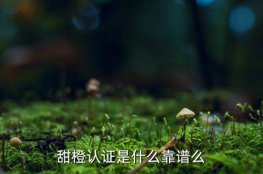 甜橙金融公司是什么，便捷的網(wǎng)貸理財(cái)企業(yè)是什么