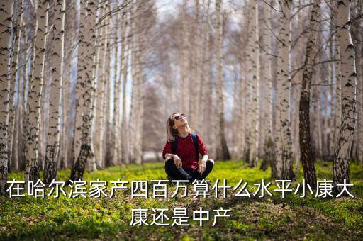 在哈爾濱家產(chǎn)四百萬算什么水平小康大康還是中產(chǎn)