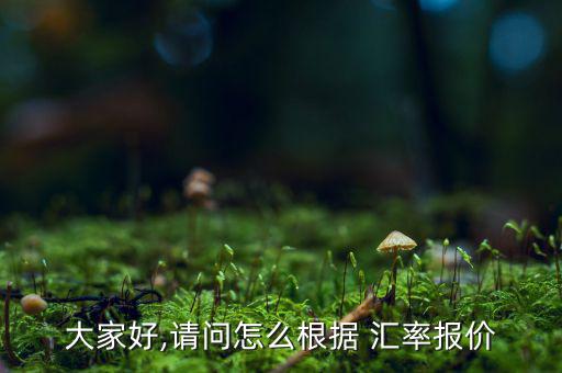 大家好,請問怎么根據 匯率報價