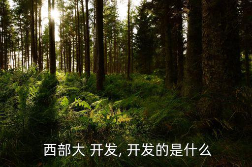 西部怎么開(kāi)發(fā),實(shí)施西部da開(kāi)發(fā)須遵循新發(fā)展模式新方法新機(jī)制
