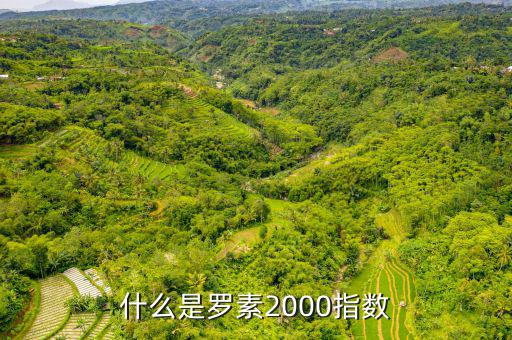 平安羅素是什么，平安epass是什么東西