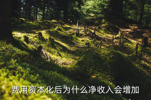 為什么資本化會(huì)使roa增加，法定存款準(zhǔn)備金率的提高對(duì)ROA的影響謝謝啦