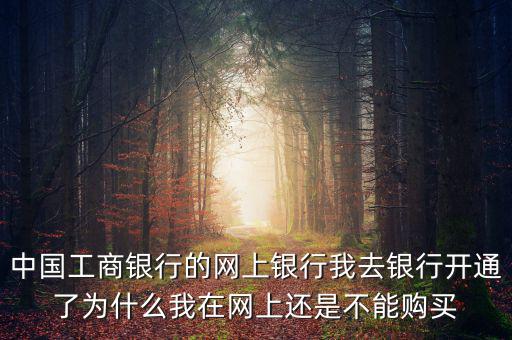 中國(guó)工商銀行的網(wǎng)上銀行我去銀行開(kāi)通了為什么我在網(wǎng)上還是不能購(gòu)買