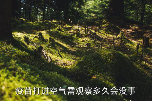 疫苗打進(jìn)空氣需觀察多久會(huì)沒事