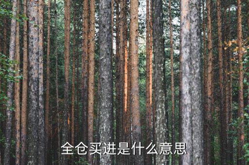 全倉買入是什么意思，掛高全倉買入什么意思