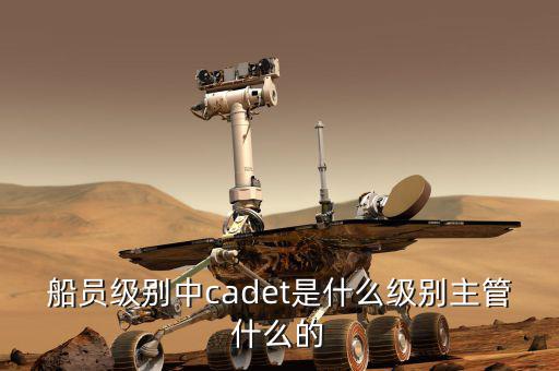 中船總經(jīng)理什么級(jí)別，中國(guó)船舶總公司總經(jīng)理啥級(jí)別