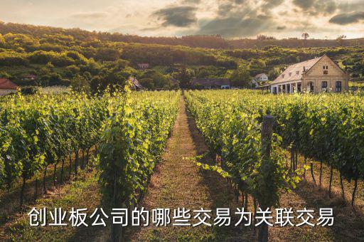 關(guān)聯(lián)交易多存在與什么的公司，哪些交易屬于上市公司關(guān)聯(lián)交易求解答