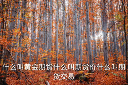 什么是期貨價(jià)，什么叫黃金期貨什么叫期貨價(jià)什么叫期貨交易