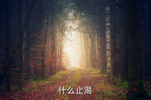 止渴指什么動，什么止渴