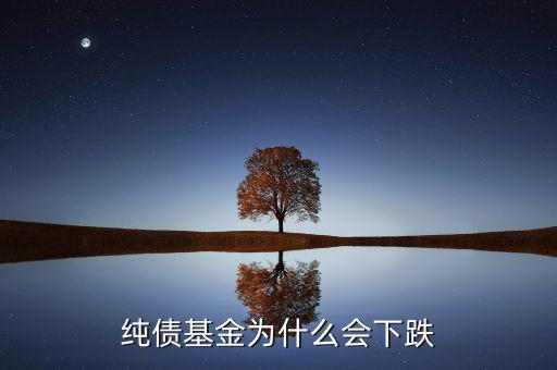 為什么純債基也會(huì)下跌，純債基金為什么會(huì)下跌