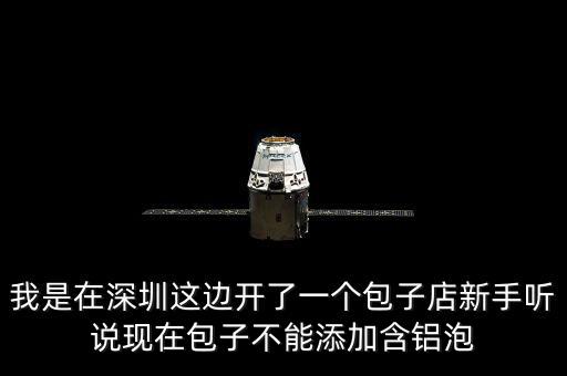 包子禁止添加什么，我是在深圳這邊開了一個包子店新手聽說現(xiàn)在包子不能添加含鋁泡