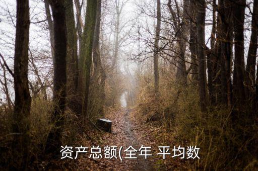  資產總額(全年 平均數(shù)