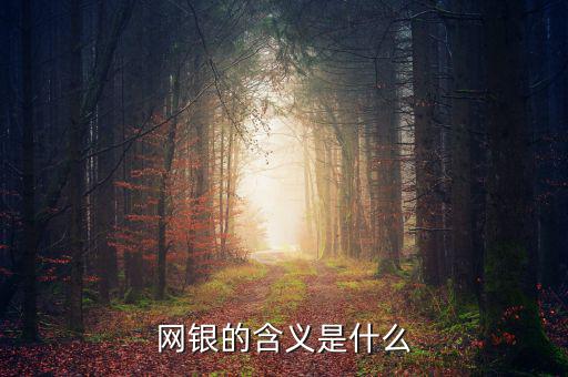 網(wǎng)銀存入代表什么意思，網(wǎng)銀的含義是什么