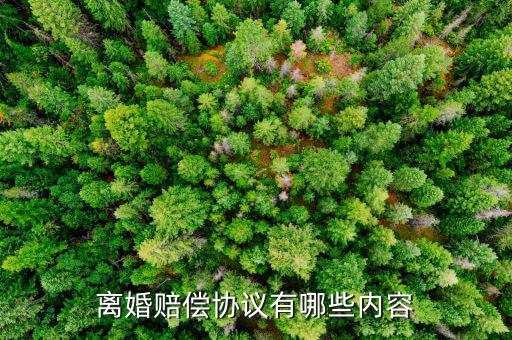 賠付幣種怎么說(shuō),保險(xiǎn)合同條款:違約責(zé)任與爭(zhēng)議解決方式一致