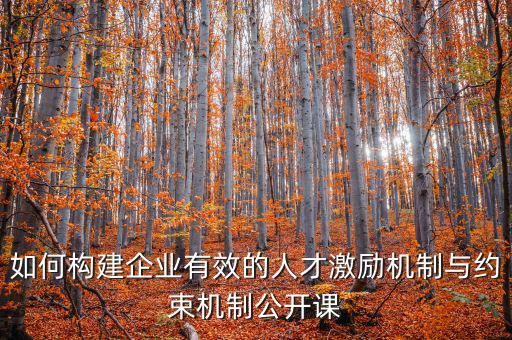 財務(wù)激勵與約束機制的設(shè)計原則是什么，財務(wù)激勵約束機制的概念是什么