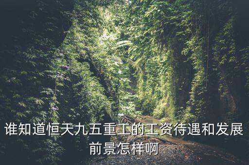 恒天九五什么時候上市，誰知道恒天九五重工的工資待遇和發(fā)展前景怎樣啊