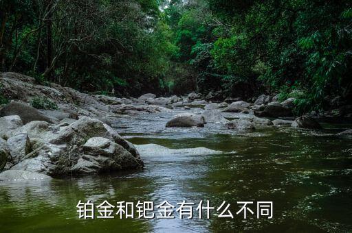 鉑金跟鈀金有什么區(qū)別，鈀金和鉑金有什么區(qū)別