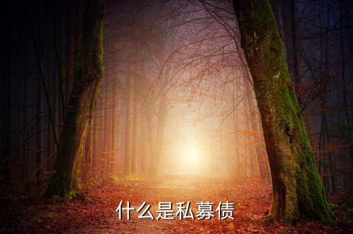 什么是小貸公司私募債，什么是私募債
