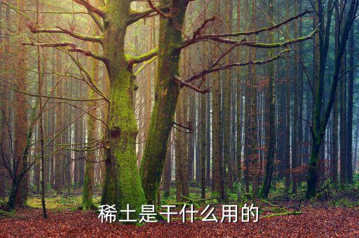 為什么稀土，日本為什么要進(jìn)口稀土 稀土是什么