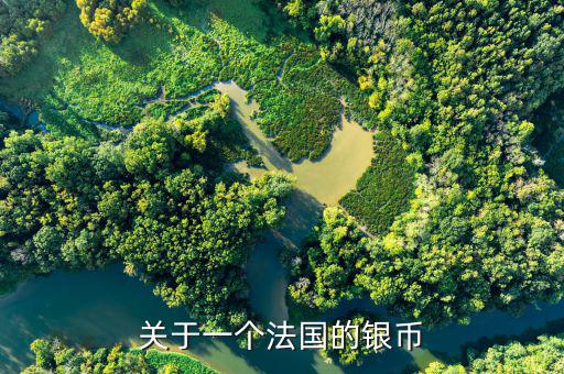 銀元什么是普品，關(guān)于一個法國的銀幣