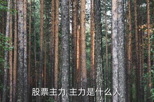 炒股的都是什么人，什么樣的人才是炒股的高手