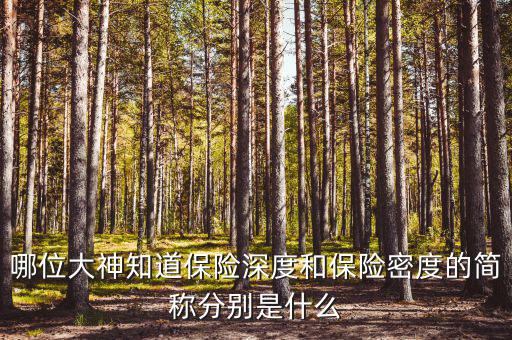 什么叫保險(xiǎn)密度，保險(xiǎn)深度與密度是什么