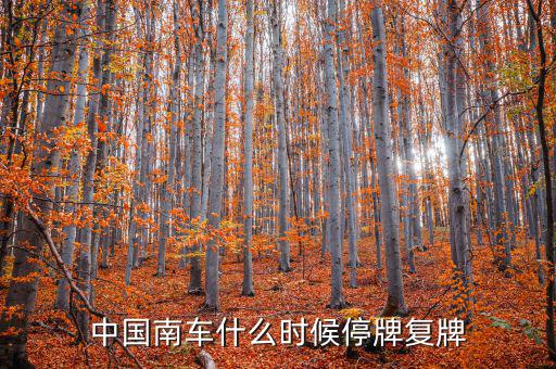 中國南車什么情況，中國南車跌停預(yù)示著大盤明天有什么狀況