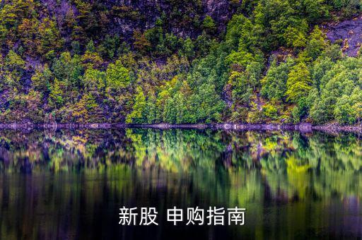  新股 申購(gòu)指南