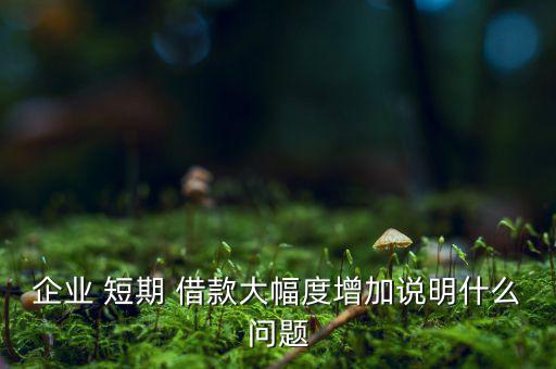 企業(yè) 短期 借款大幅度增加說(shuō)明什么問題