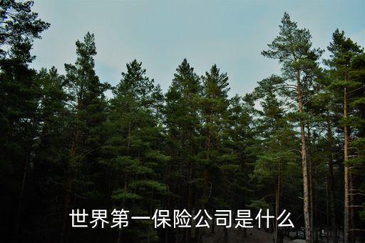世界上第一家保險(xiǎn)公司叫什么，世界第一保險(xiǎn)公司是什么