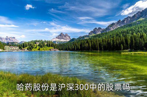 哈藥股份是什么公司，哈藥集團(tuán)是做什么 的