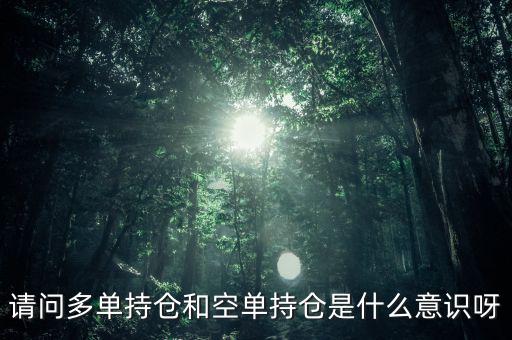 請(qǐng)問多單持倉和空單持倉是什么意識(shí)呀