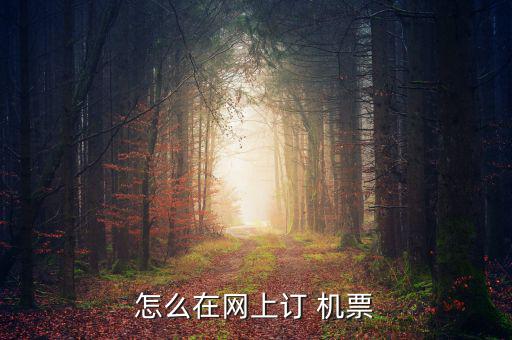 怎么在網(wǎng)上訂 機票
