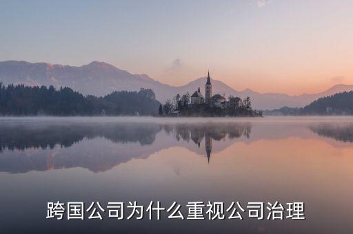 為什么要公司治理，索尼公司為何要進(jìn)行公司治理改革
