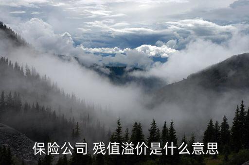 保險公司殘值是怎么回事,保險公司:保費(fèi)是財(cái)產(chǎn)險