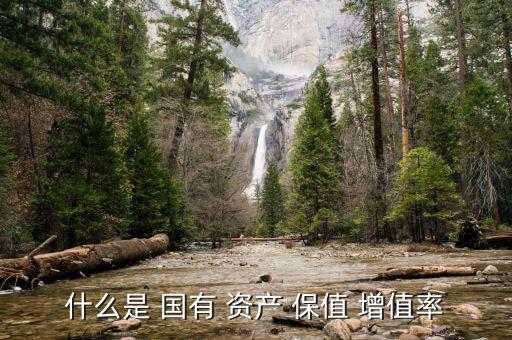 什么是 國有 資產 保值 增值率