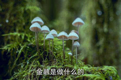 中國(guó)29金融是干什么的，金融是干什么的