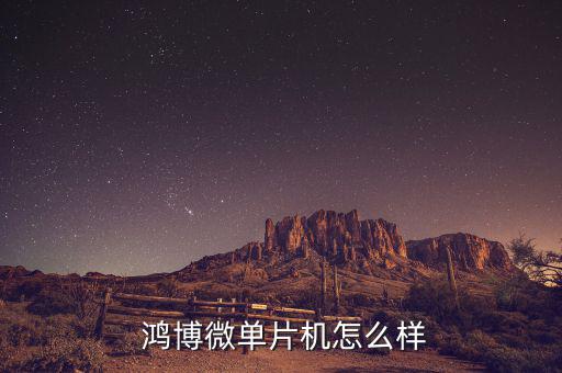 鴻博資產怎么樣,鴻博微單片機產品不錯有味道!