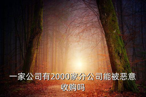 初靈信息為什么要并購，一家公司有2000家分公司能被惡意收購嗎