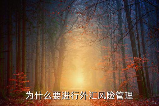 中國為什么實行外匯管制，為什么要加入國家外匯管理局工作