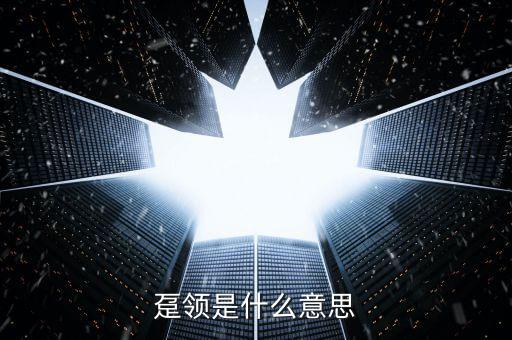 躉領是什么意思